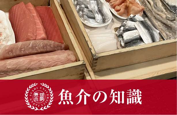 魚介の専門知識