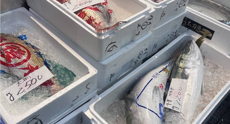 魚介の専門知識