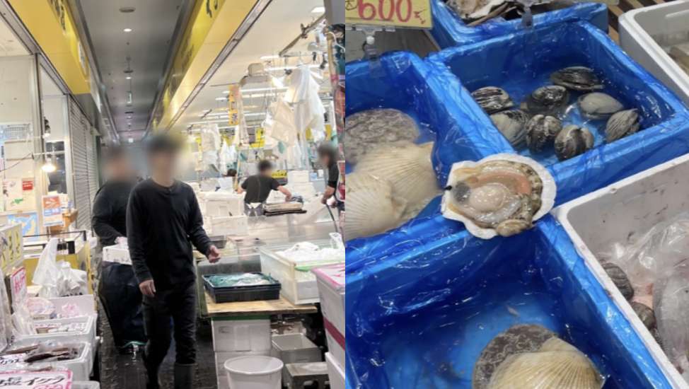 魚介の専門知識